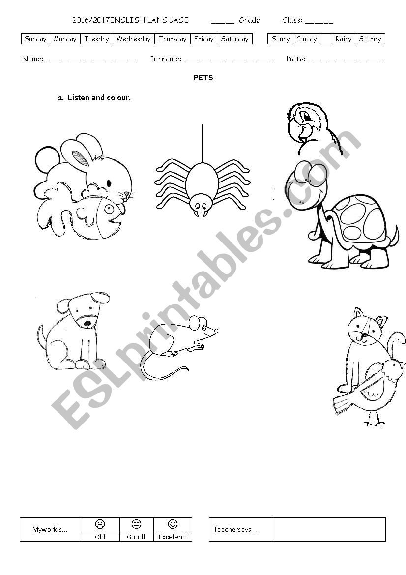 Pets worksheet