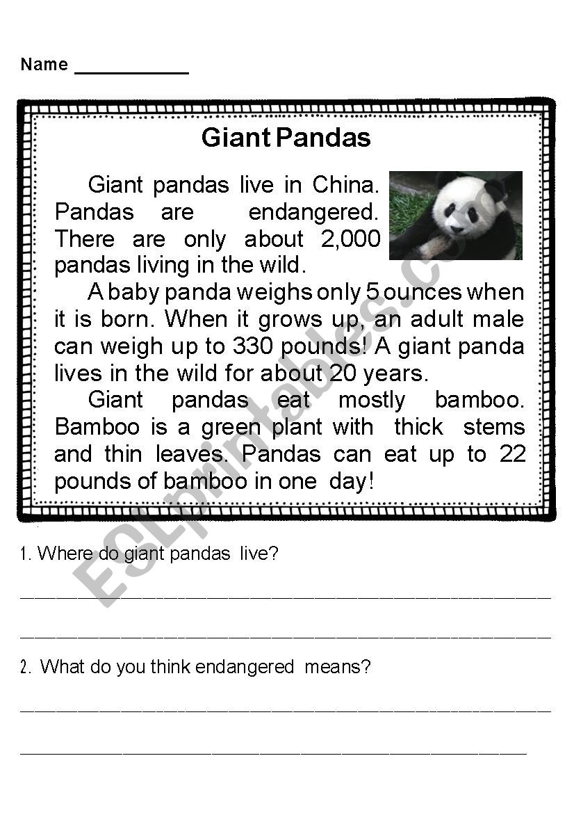 GIANT Panda worksheet