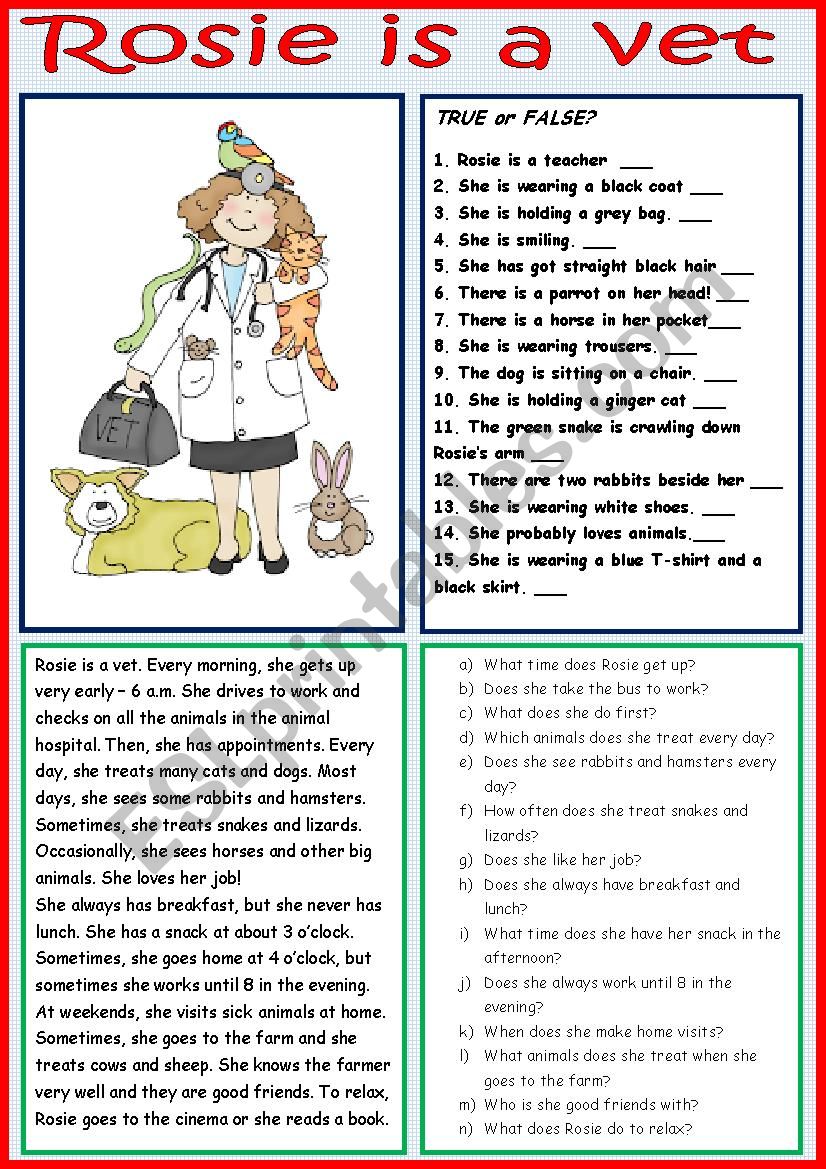 Rosie the Vet worksheet