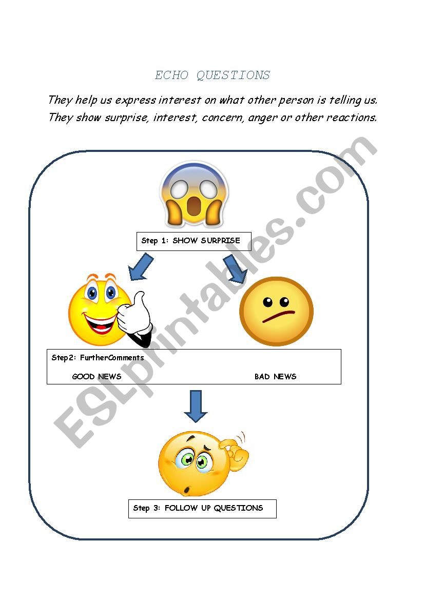 ECHO QUESTIONS worksheet