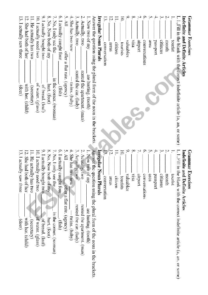 Articles and Plurals worksheet