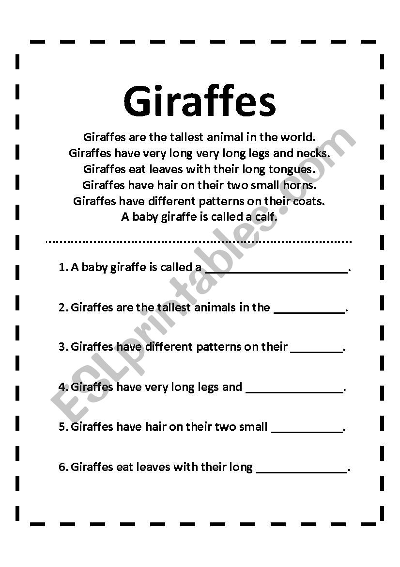 Giraffes - Worksheet worksheet