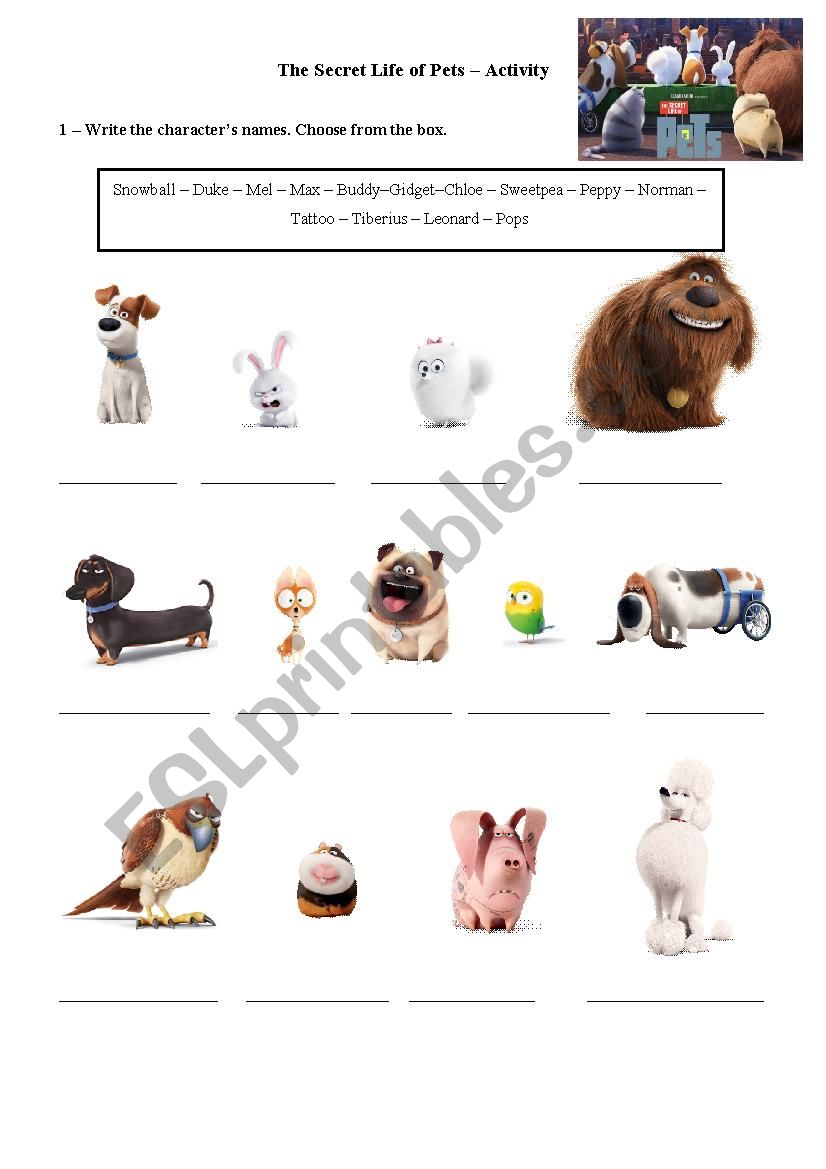 The Secret Life of Pets - Movie Activity - Part I