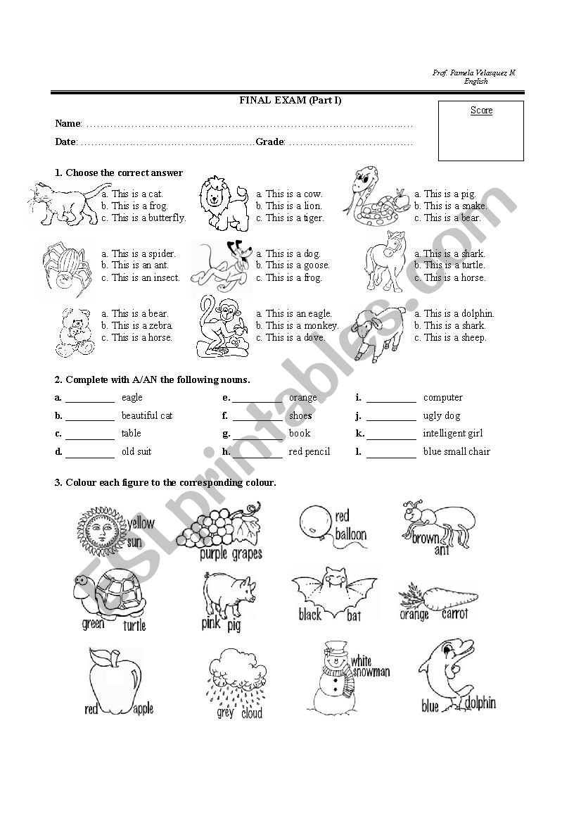 Evaluation  worksheet