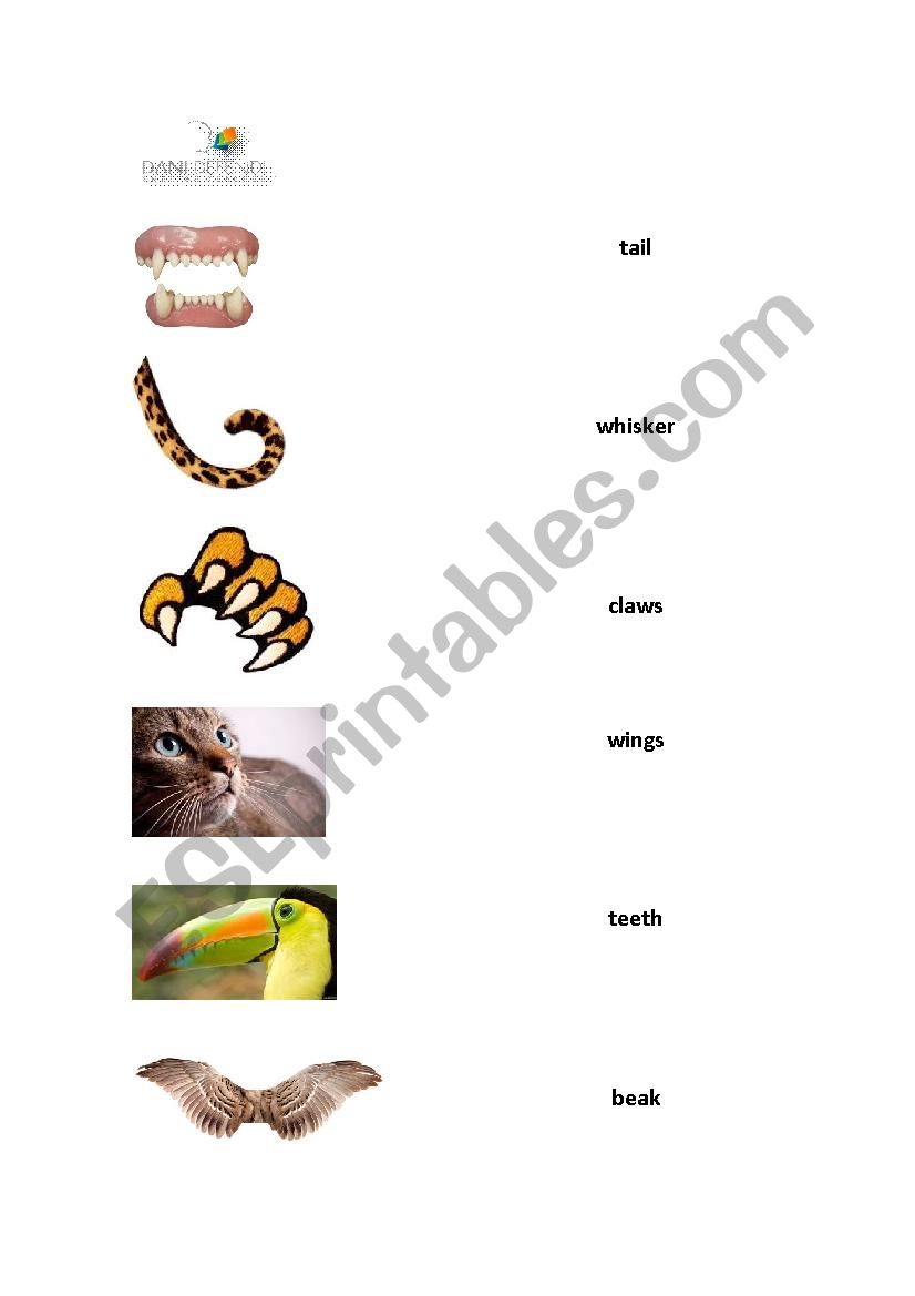 Animal Parts worksheet