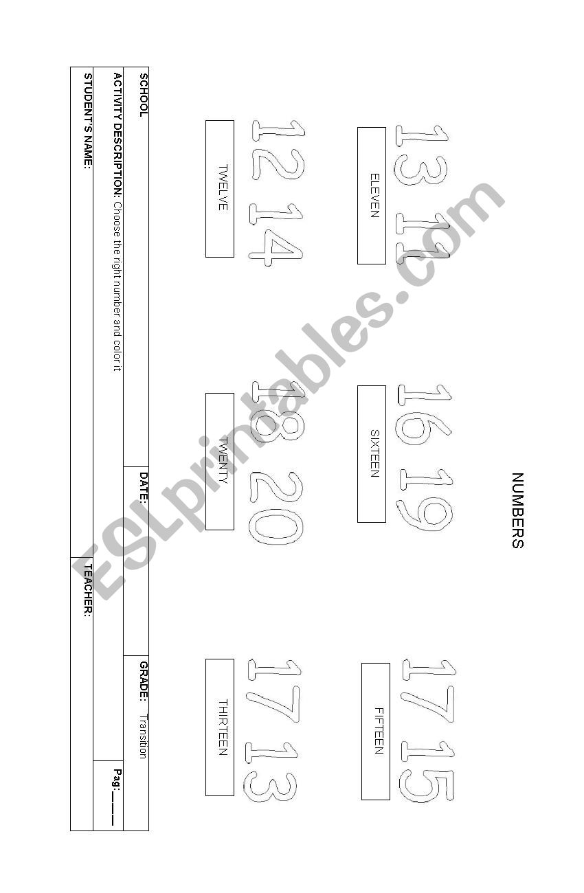 NUMBERS 11 TO 2O worksheet