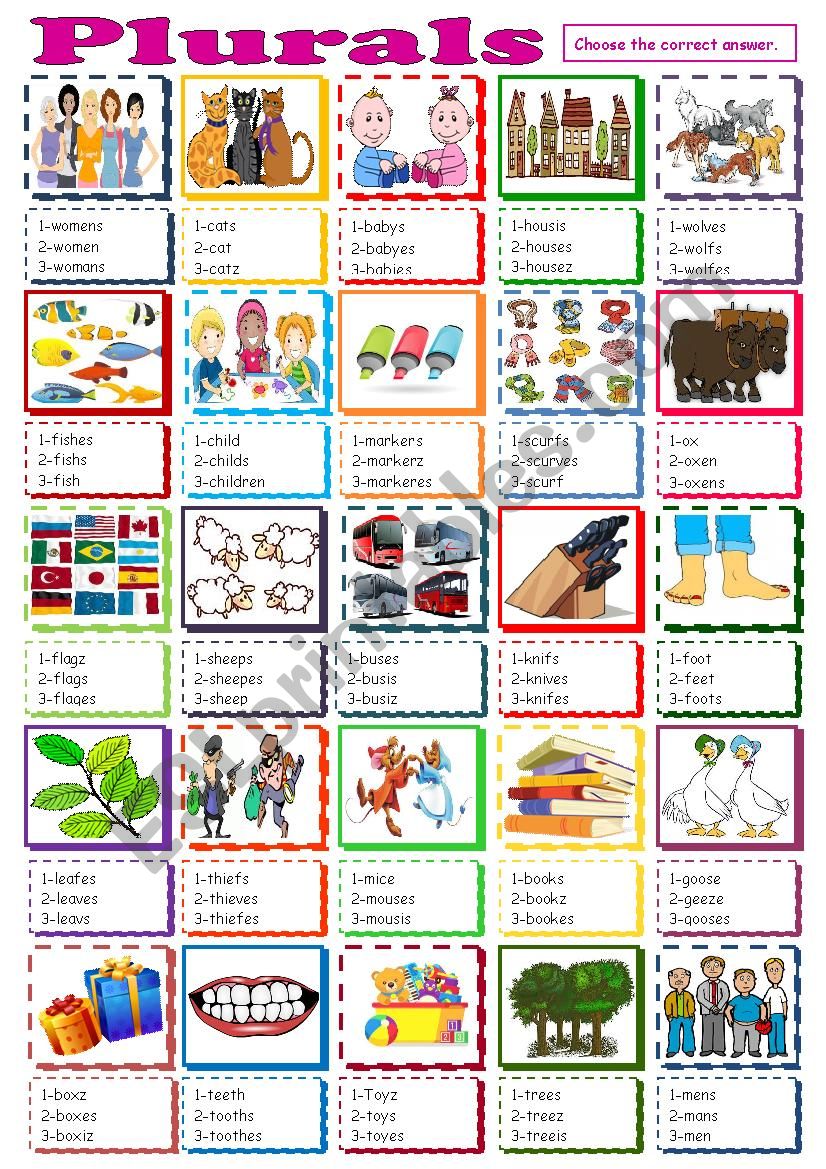 plurals (mcq task) worksheet