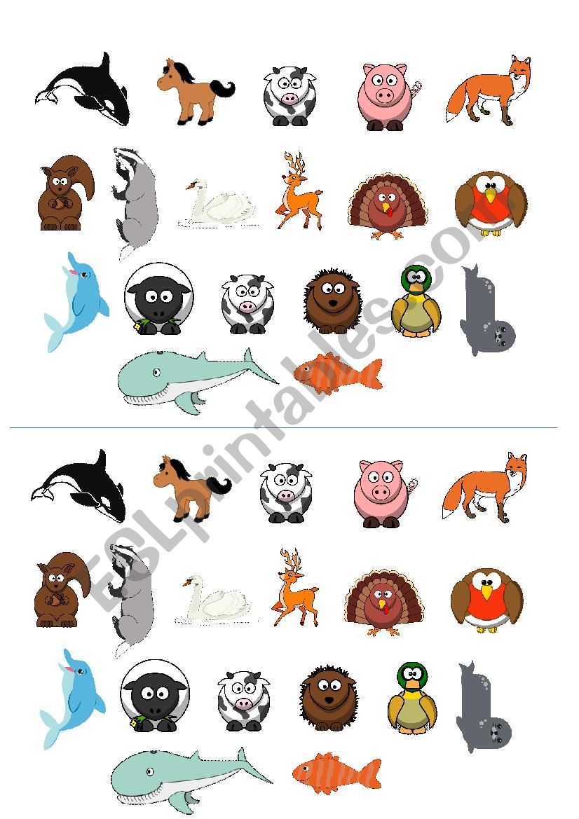 Irish animals worksheet worksheet