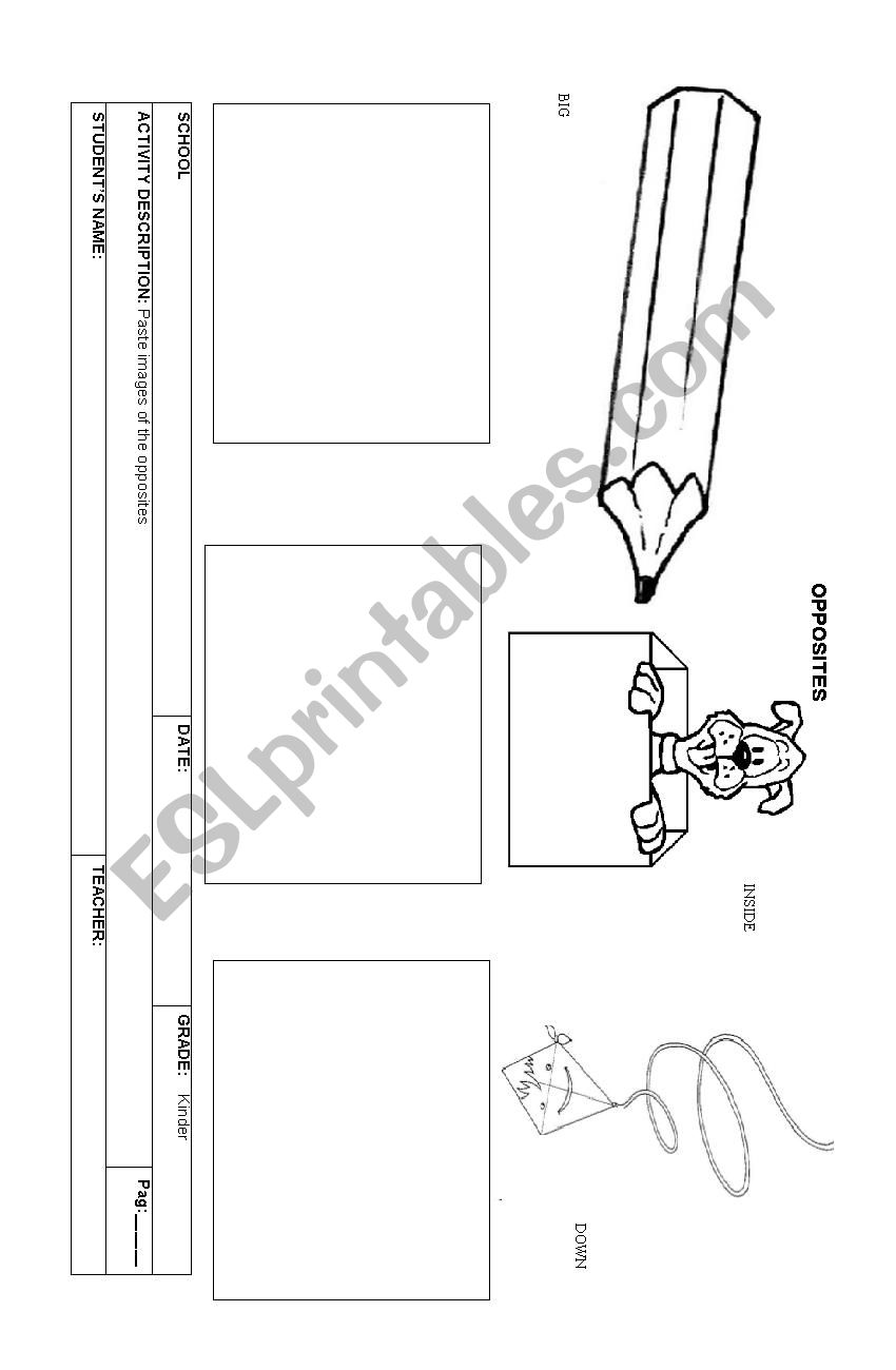 Opposites worksheet