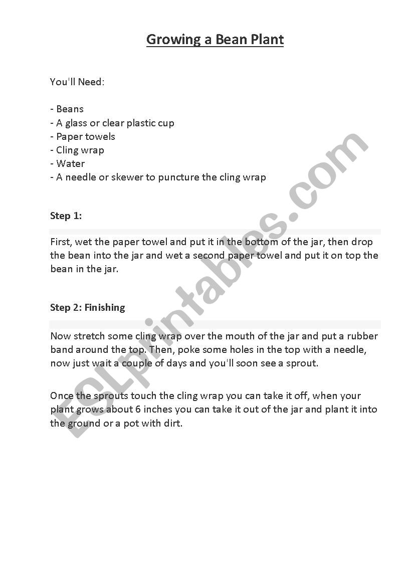 Growing a Bean Plant worksheet