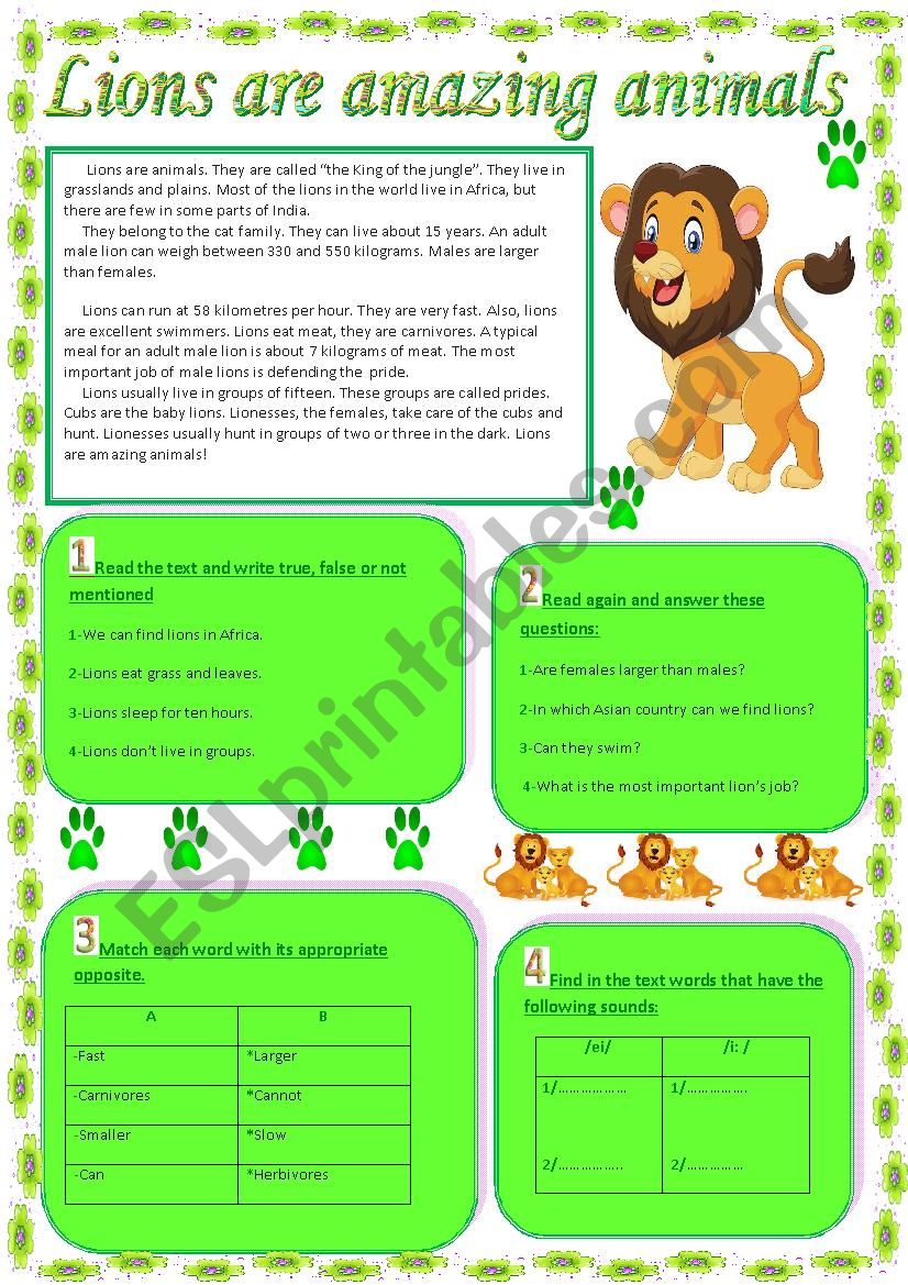 lions worksheet