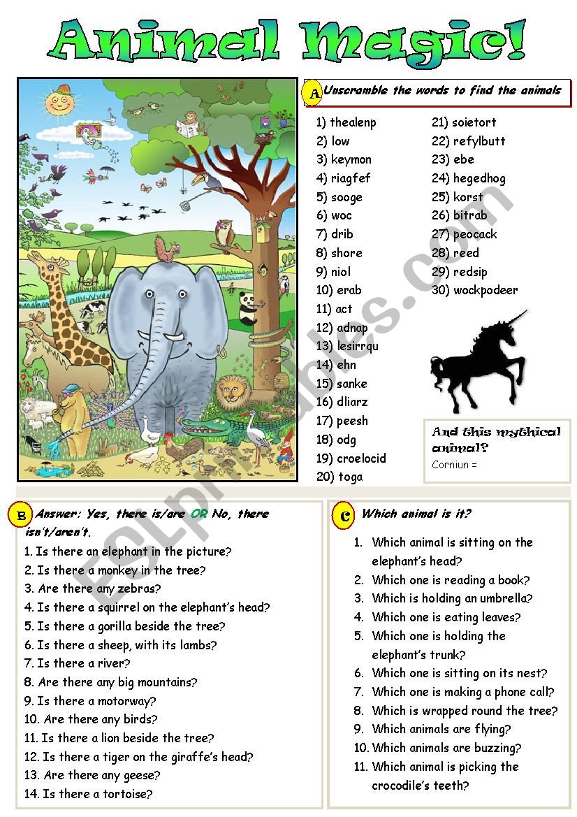 Animal magic! worksheet