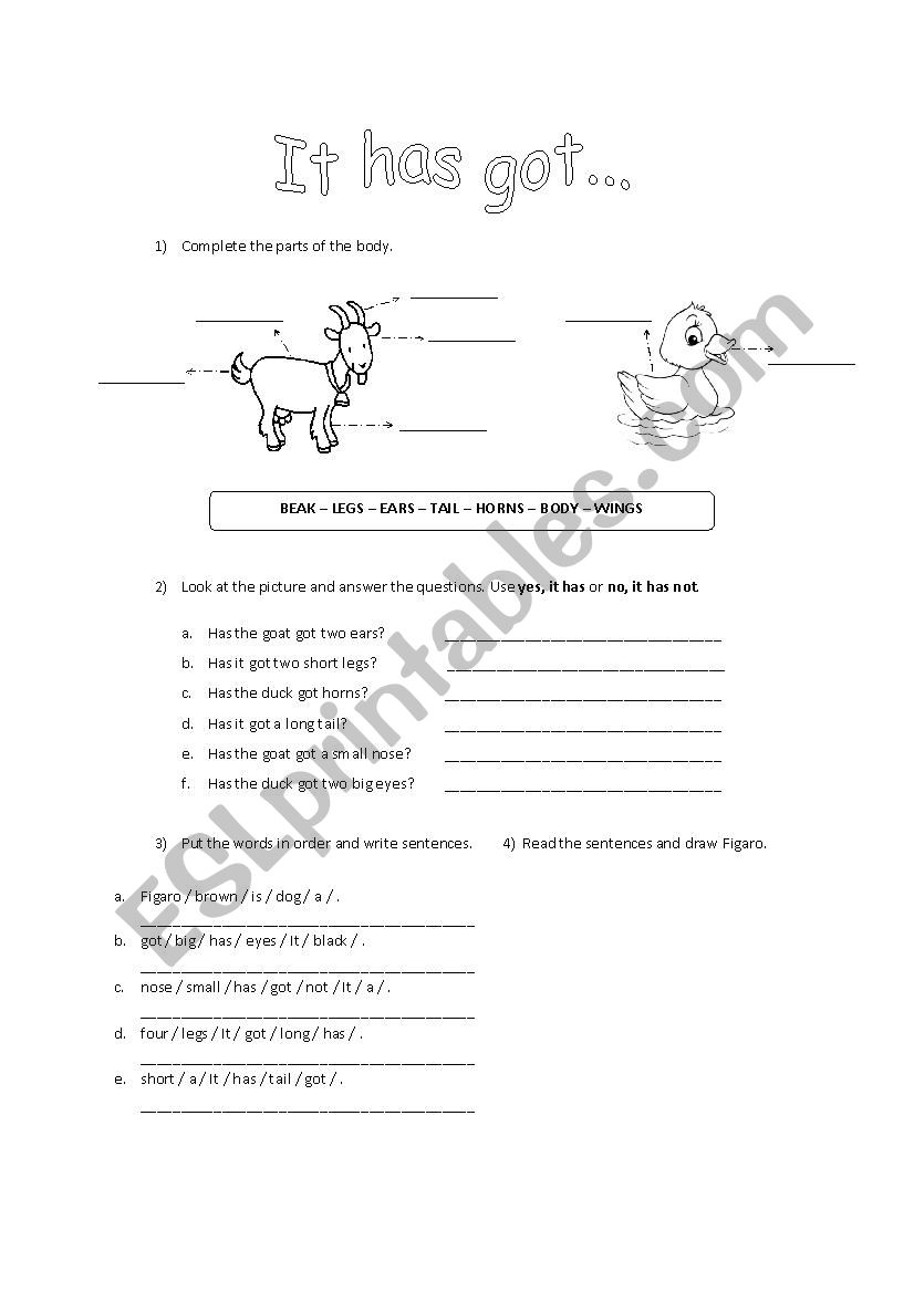 Animals - Parts of the body worksheet