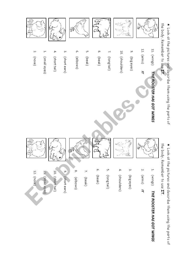 Describing animals worksheet