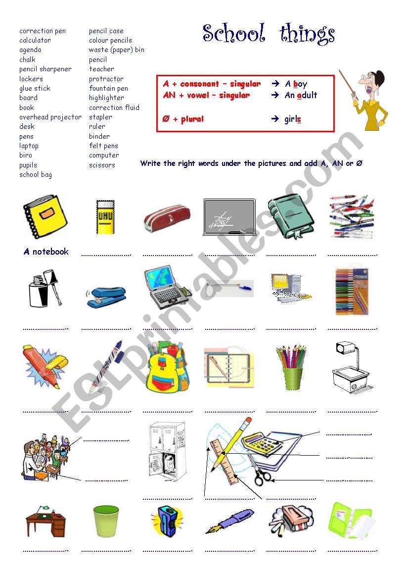 School things  +  A / AN / no article