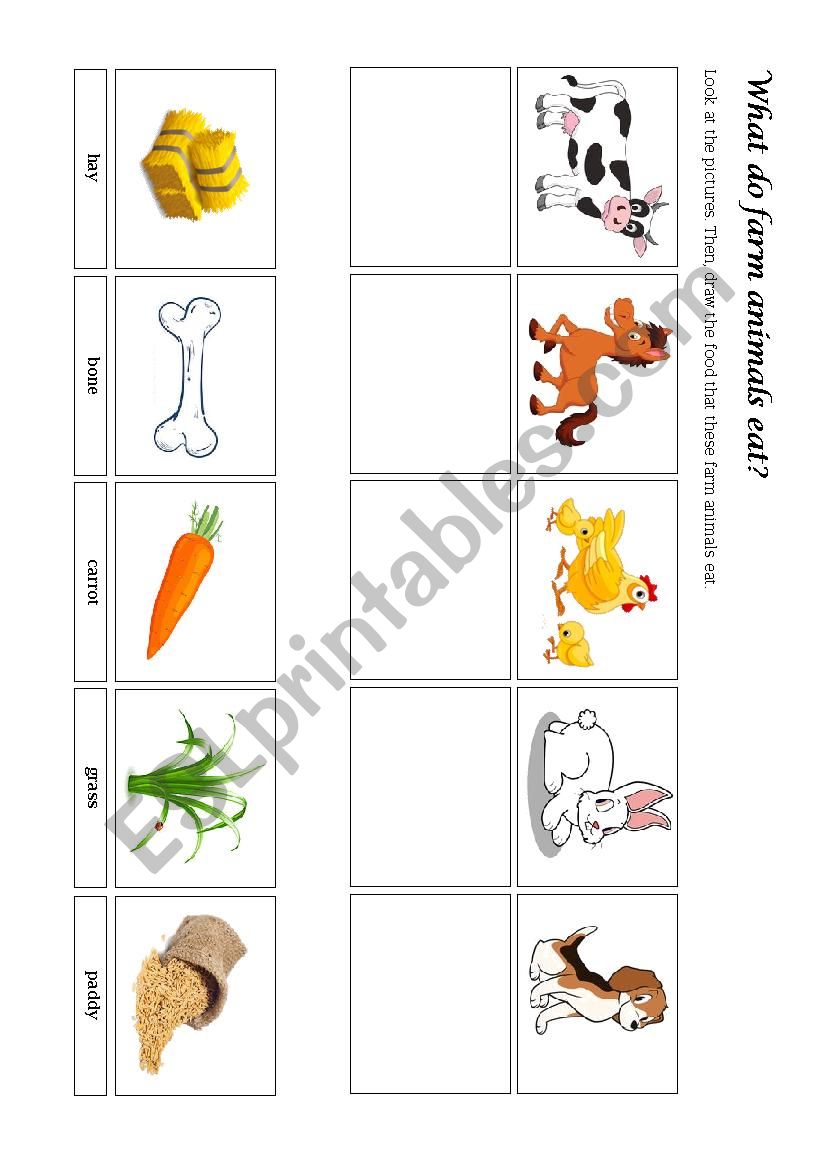 Farm Animals - Food & Home - ESL worksheet by cachua_lively