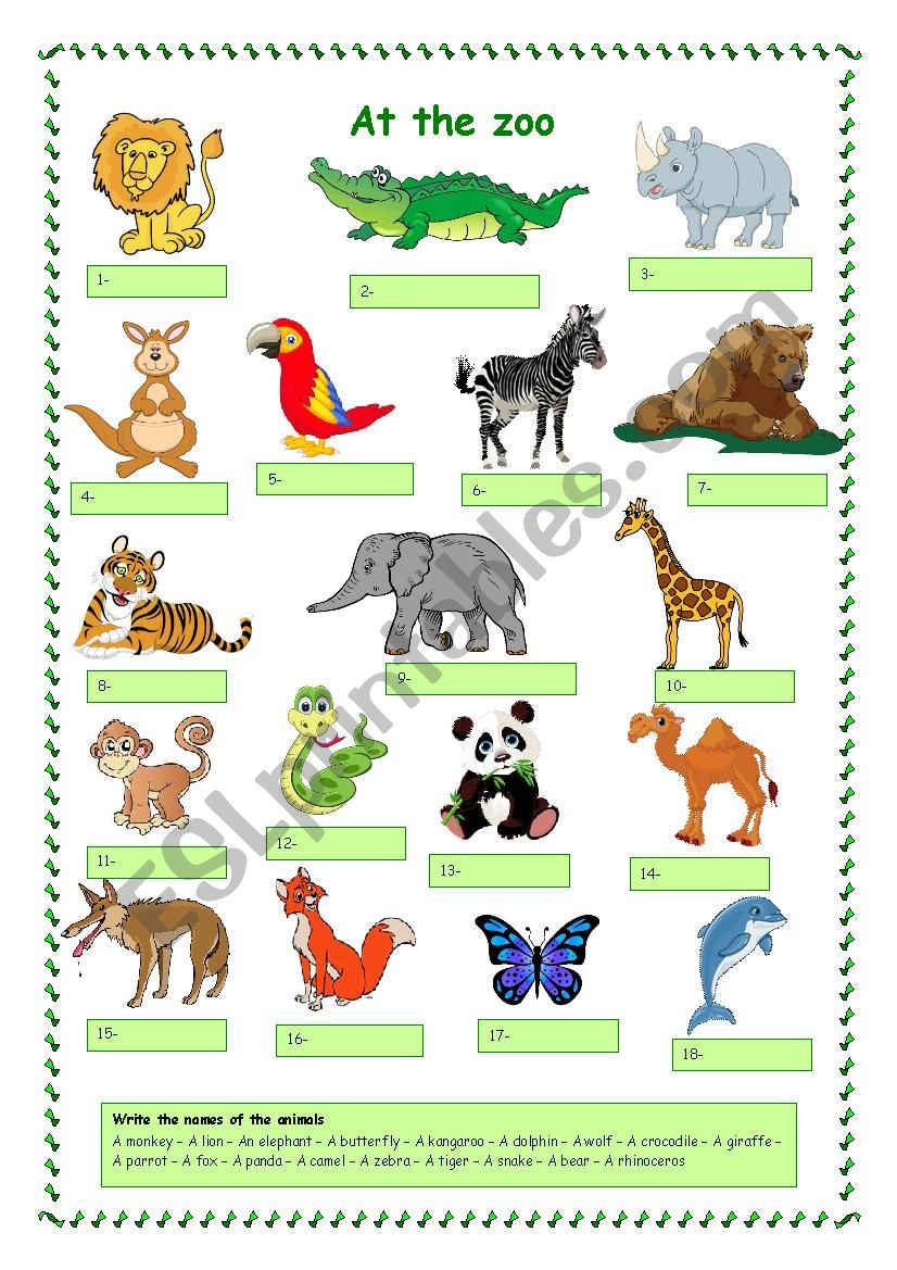 At the zoo worksheet