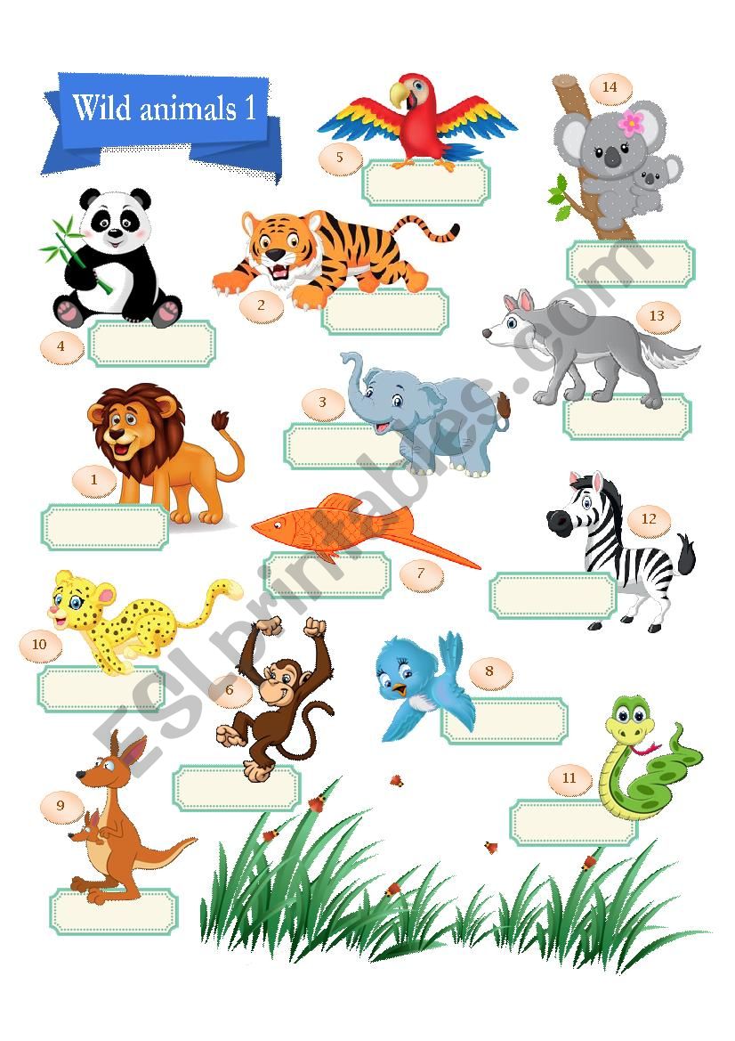 Wild Animal Pictionary worksheet