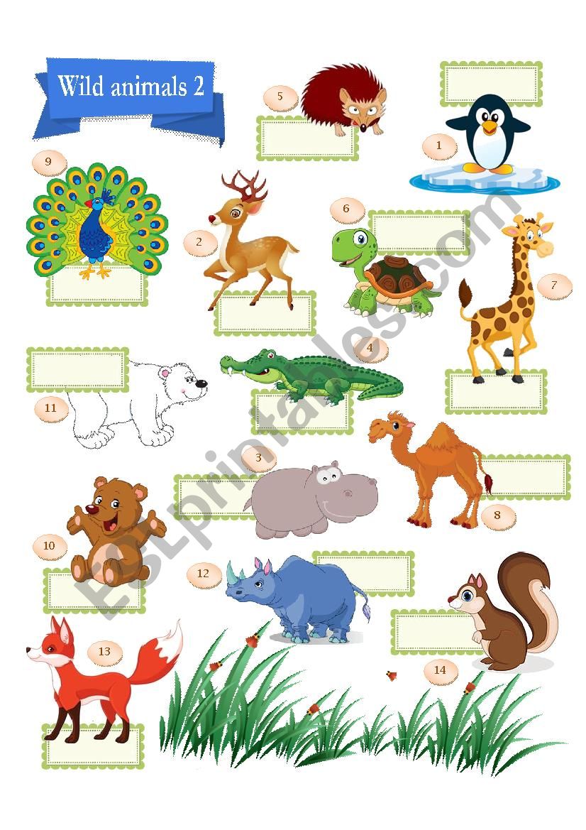 Wild Animal Pictionary 2 worksheet
