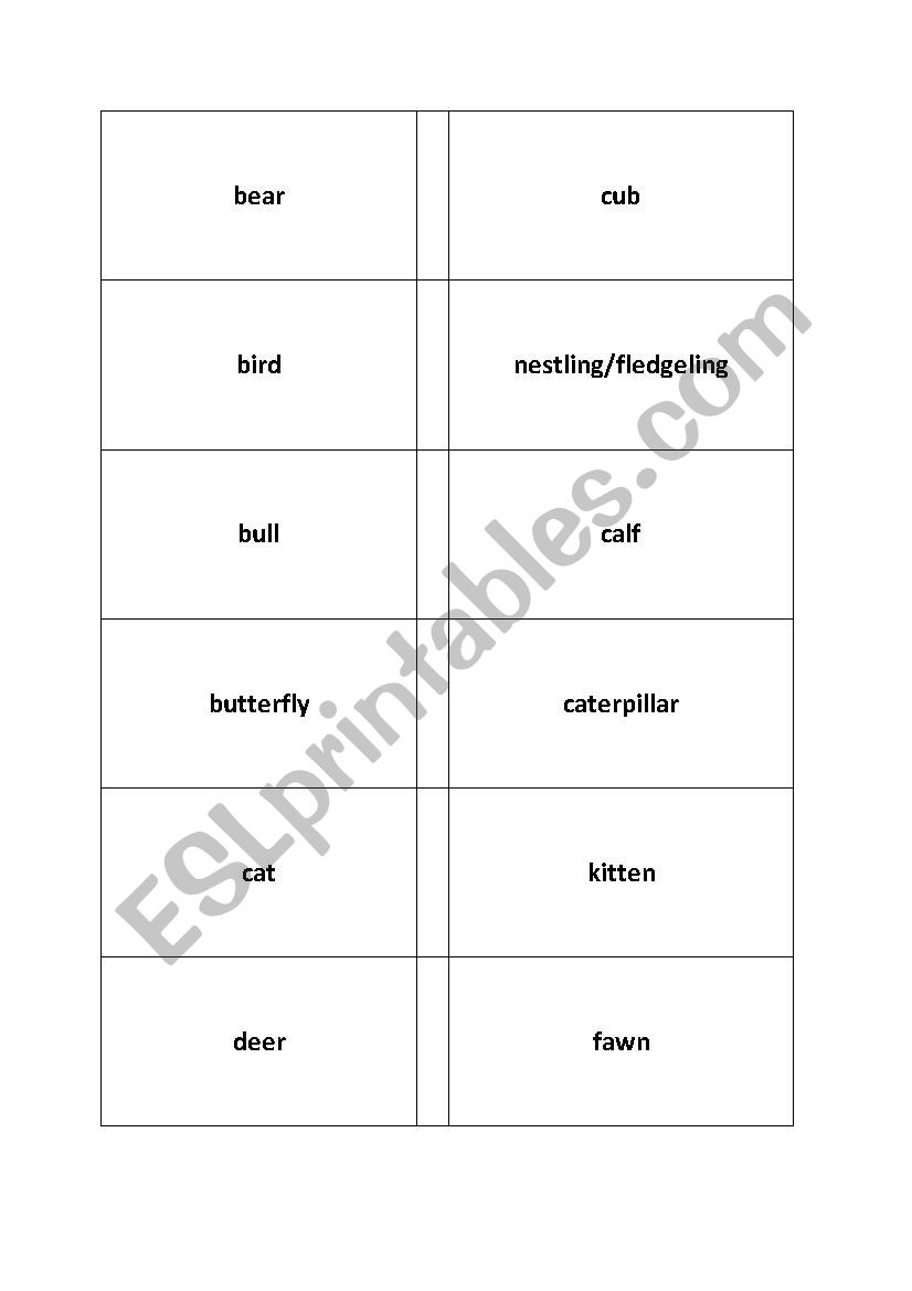 baby animals worksheet