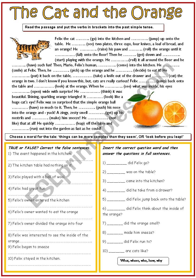 The cat and the orange worksheet