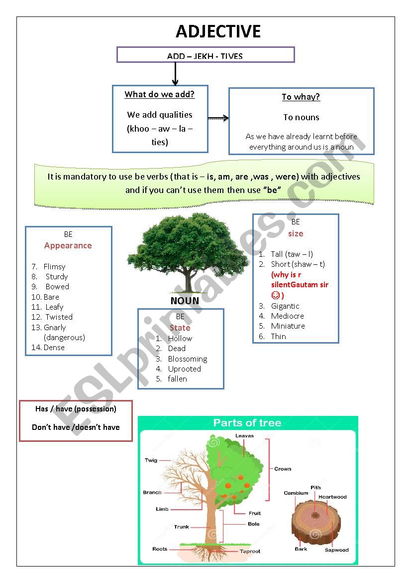 adjectives worksheet