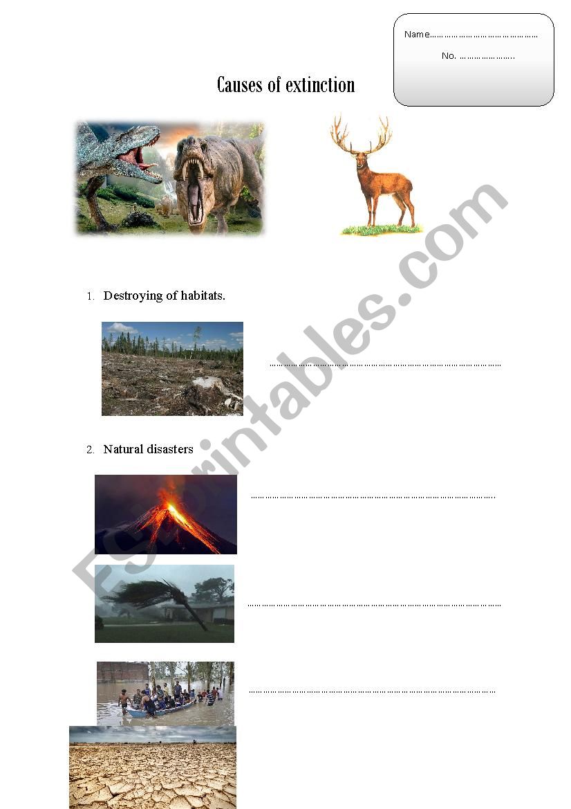 causes of extinction worksheet