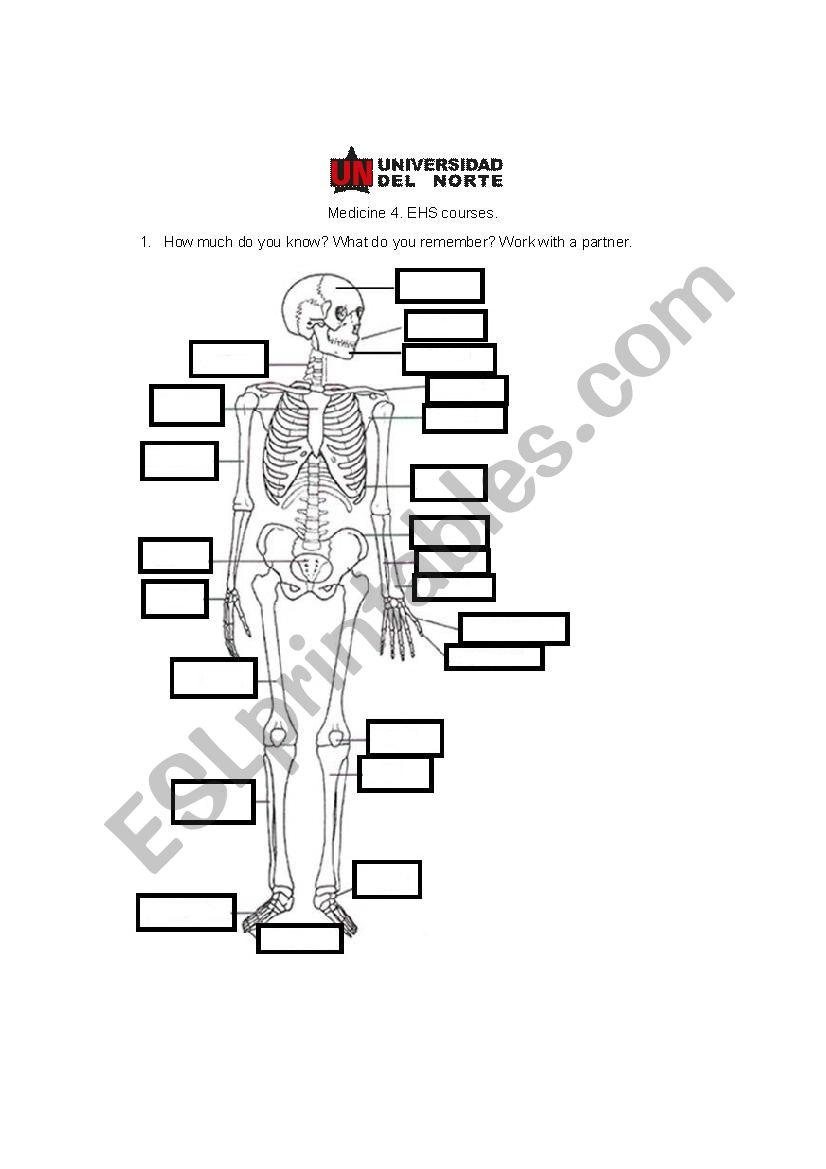 Skeleton worksheet