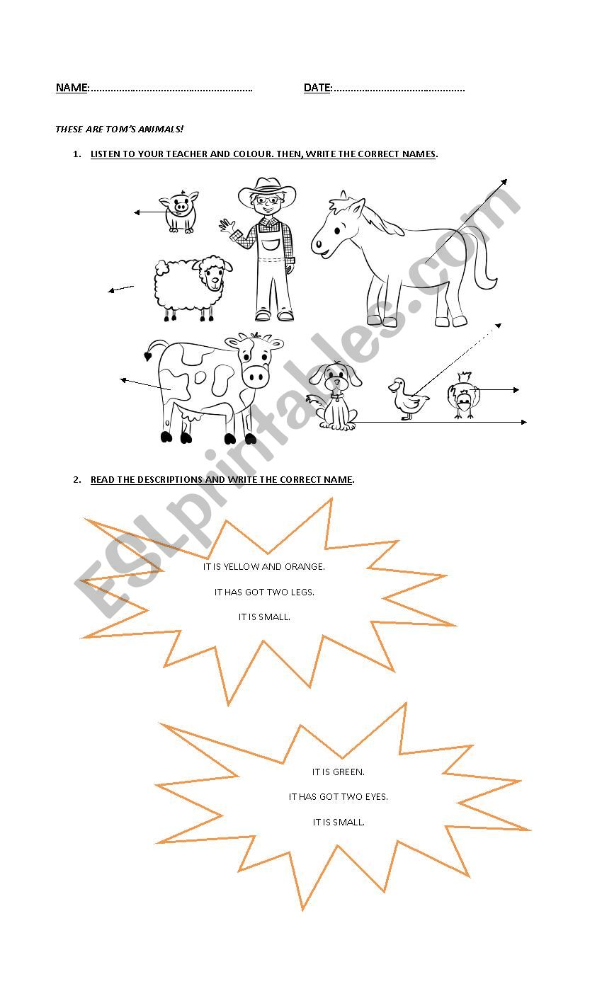 Animals! worksheet