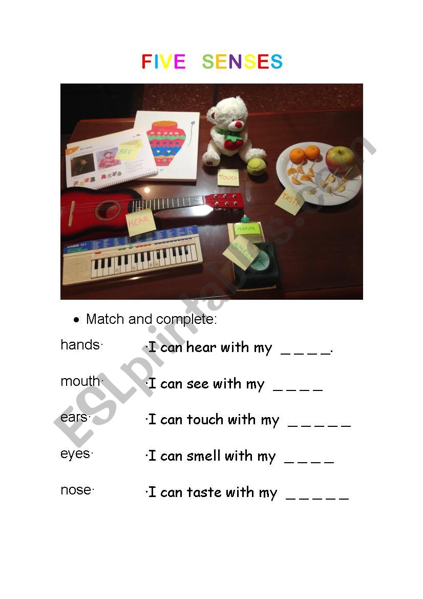 Five senses worksheet