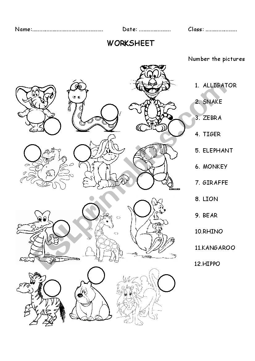 animals worksheet