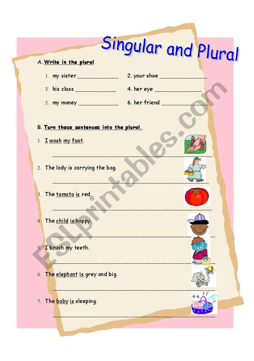 Singular and Plural worksheet