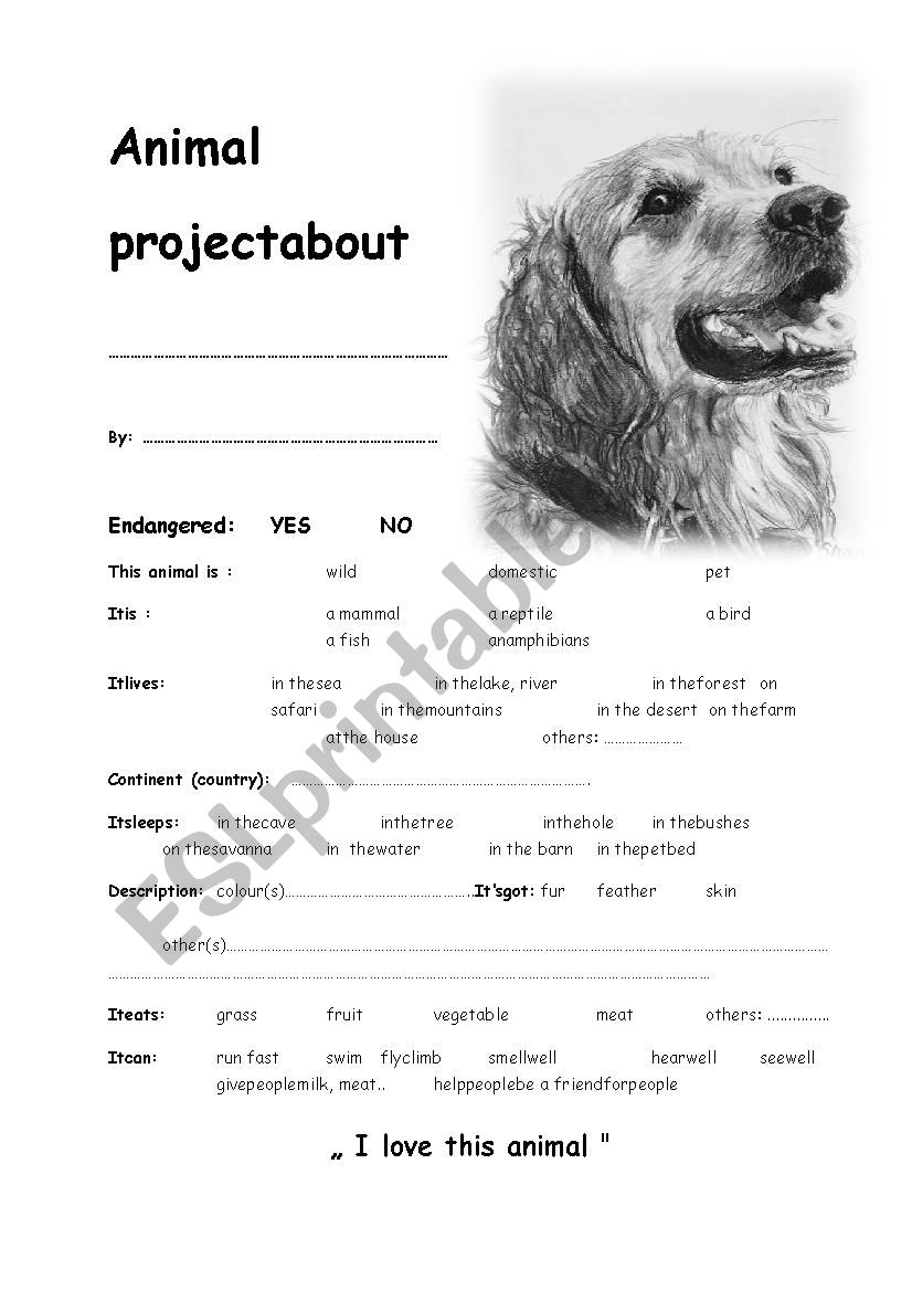 Project about dog worksheet