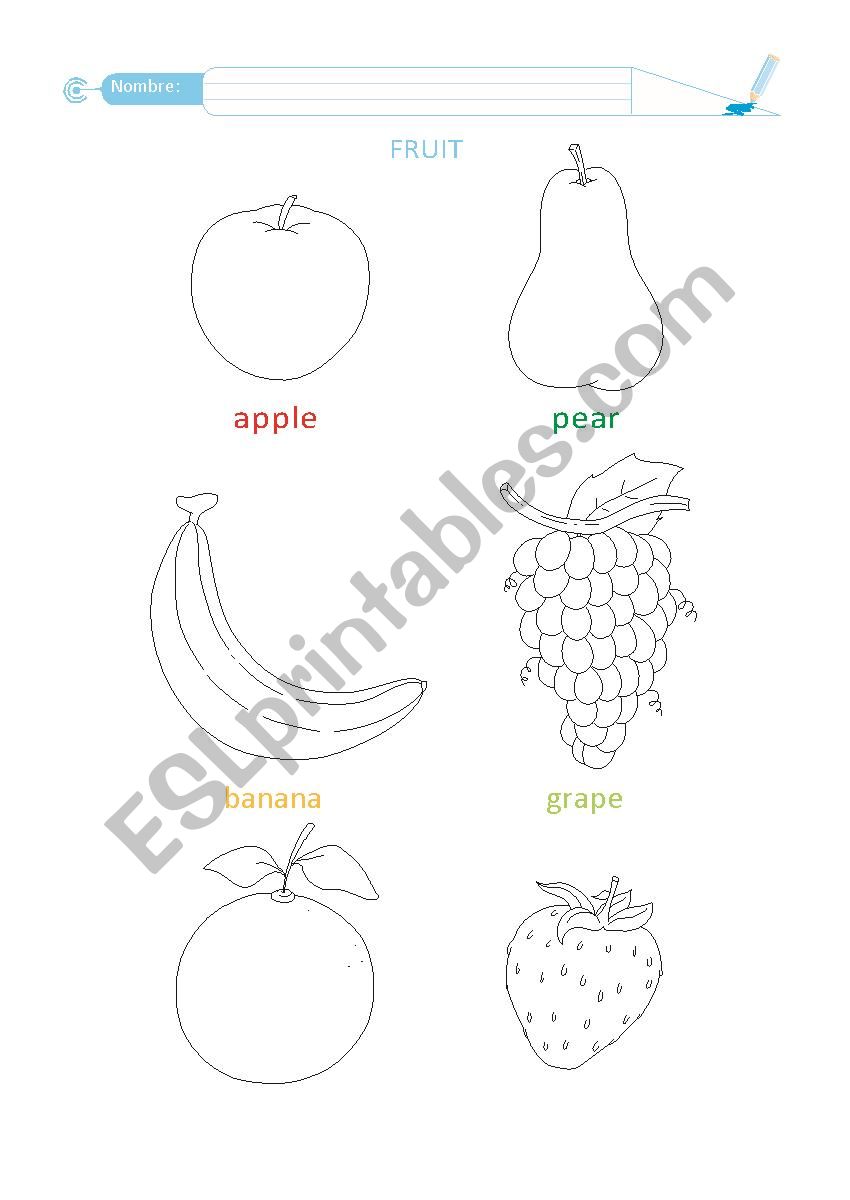 fruits worksheet