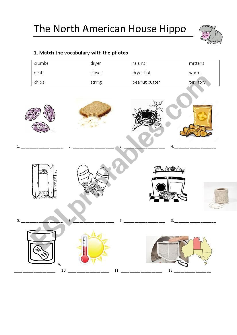 The North American House Hippo Worksheet