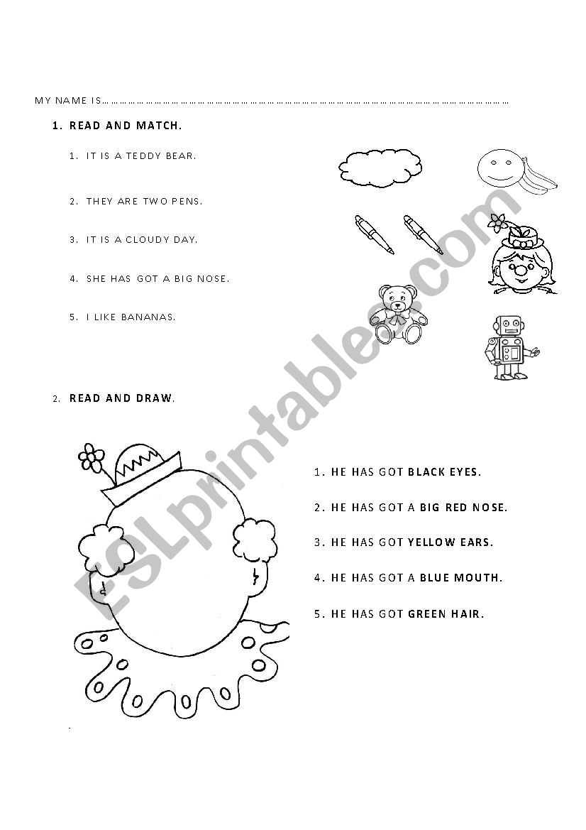 parts of the face worksheet