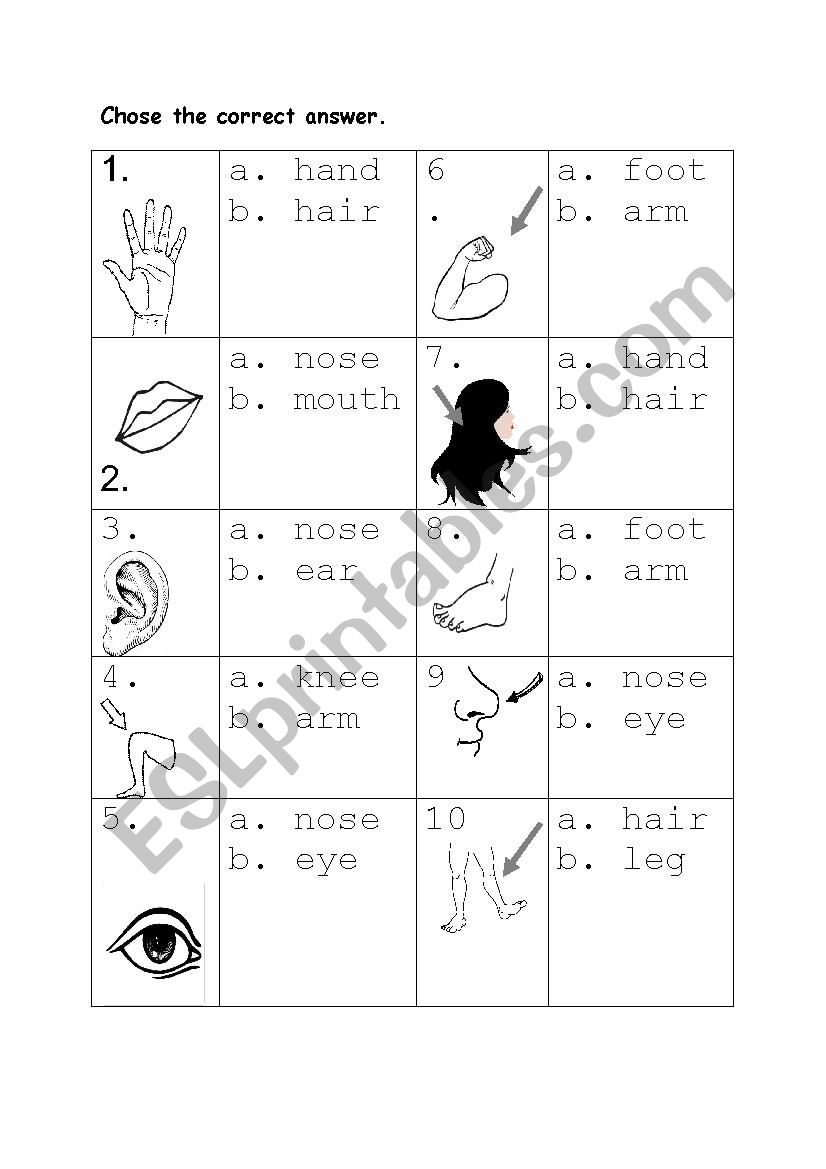 body worksheet