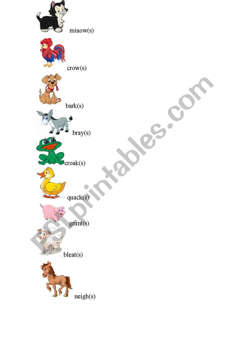 animals worksheet