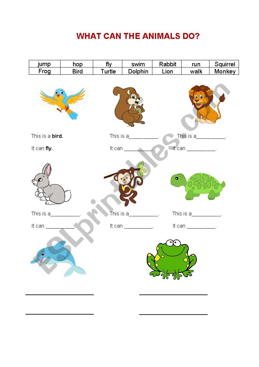 What Can The Animals Do ESL Worksheet By Sophiele141