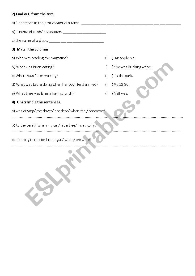 PAST CONTINUOUS TENSE worksheet