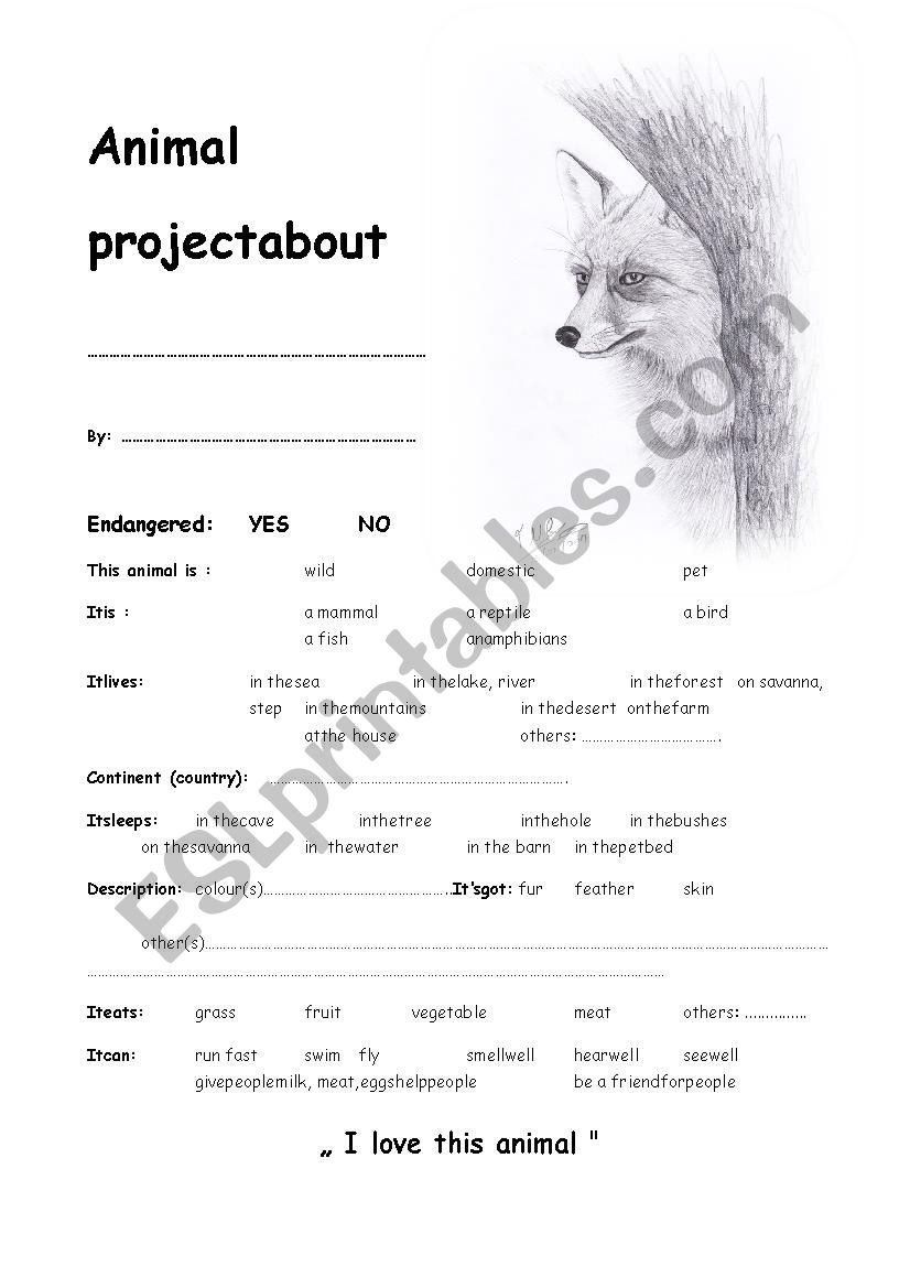 Project of Fox worksheet