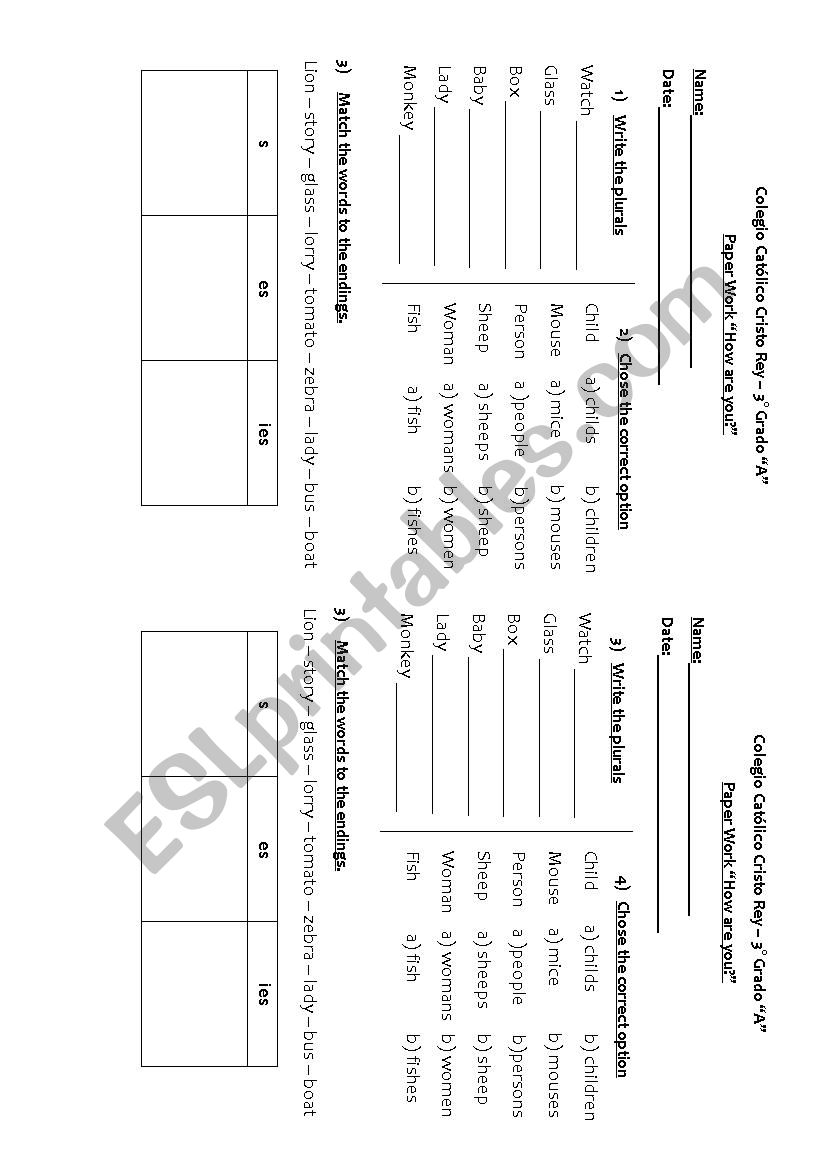 Plurals Test worksheet