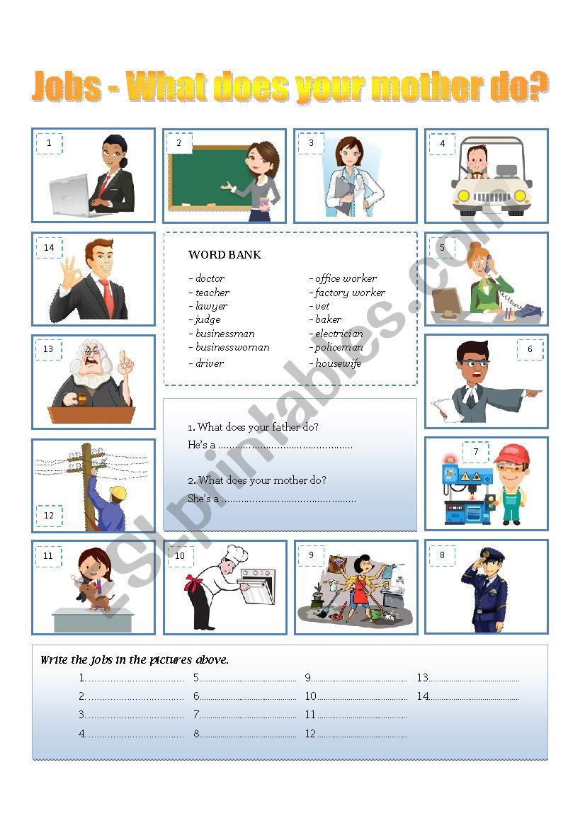 Jobs worksheet