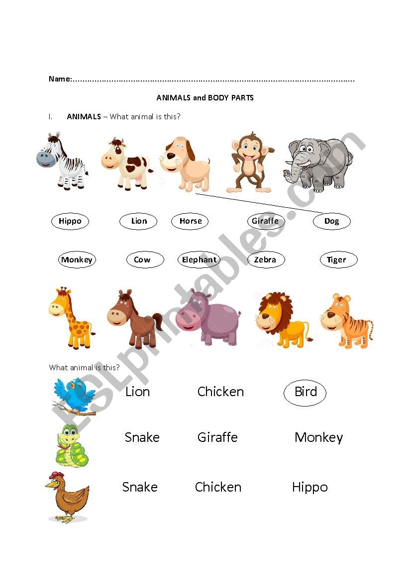 Animal and Body Parts worksheet