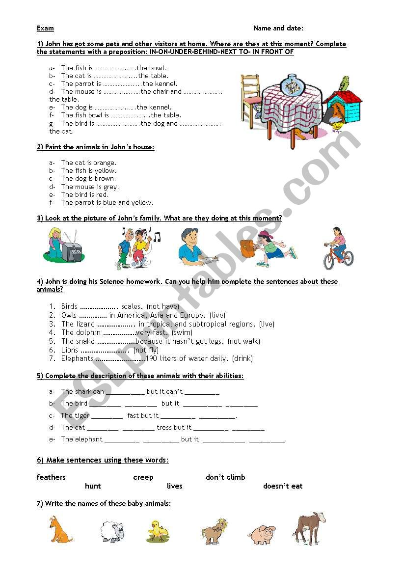 Animals, prepositions, present s. and continous... 31-07-08