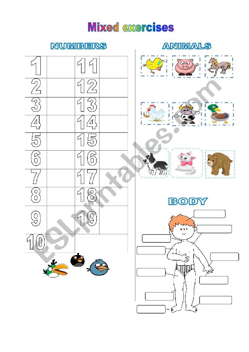 Number, animal, body parts exercises