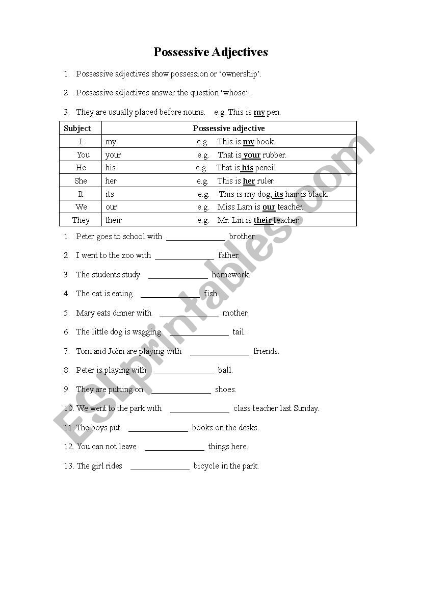 Possessive adjectives worksheet