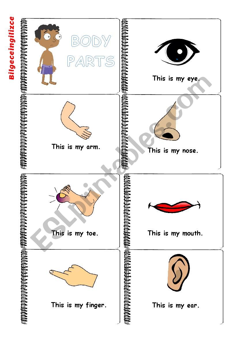 body mini worksheet