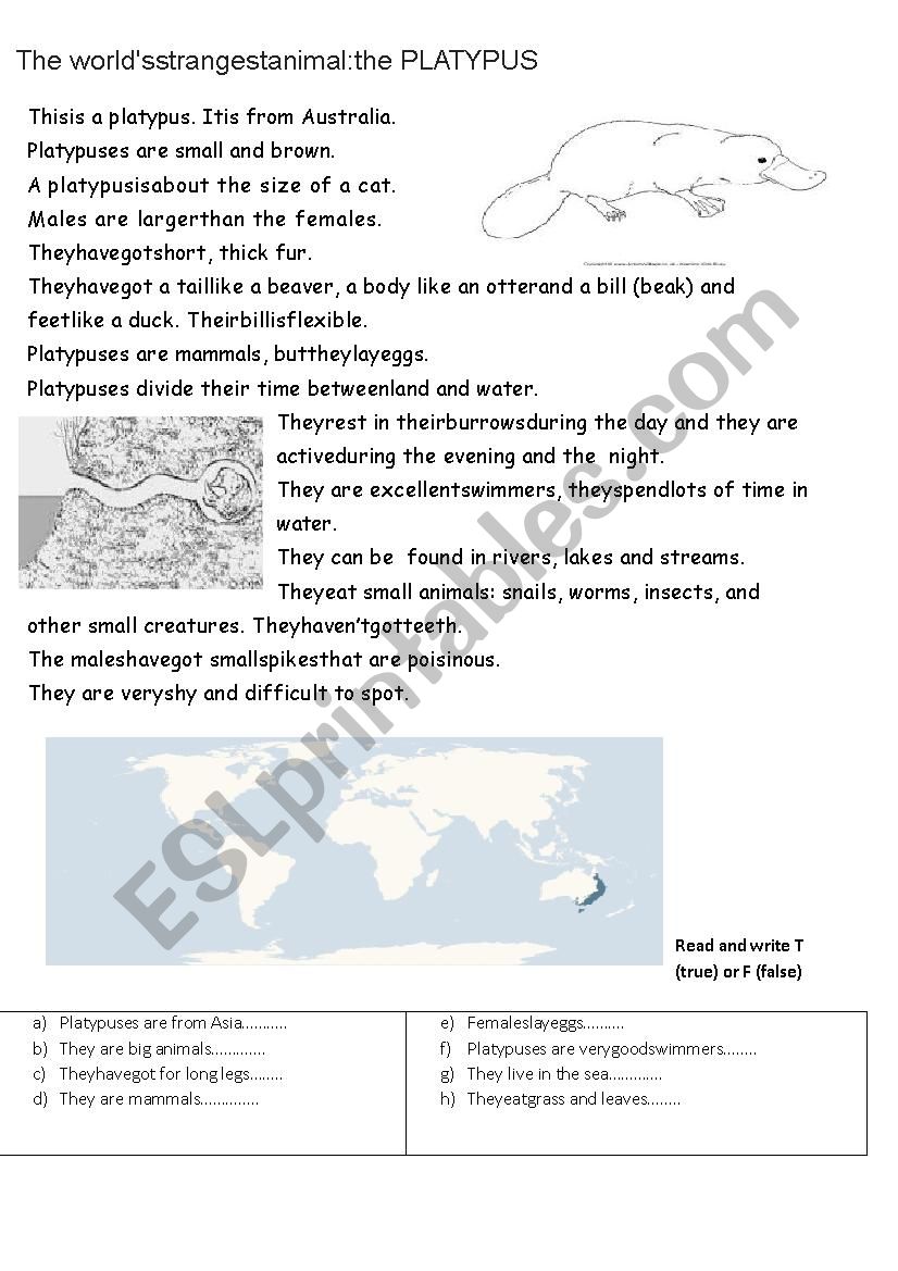 PLATYPUS worksheet