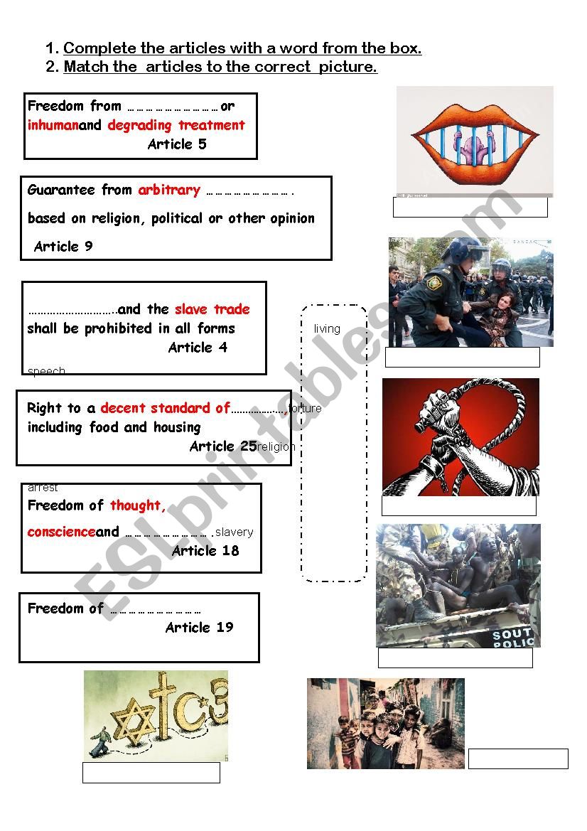 Human Rights worksheet